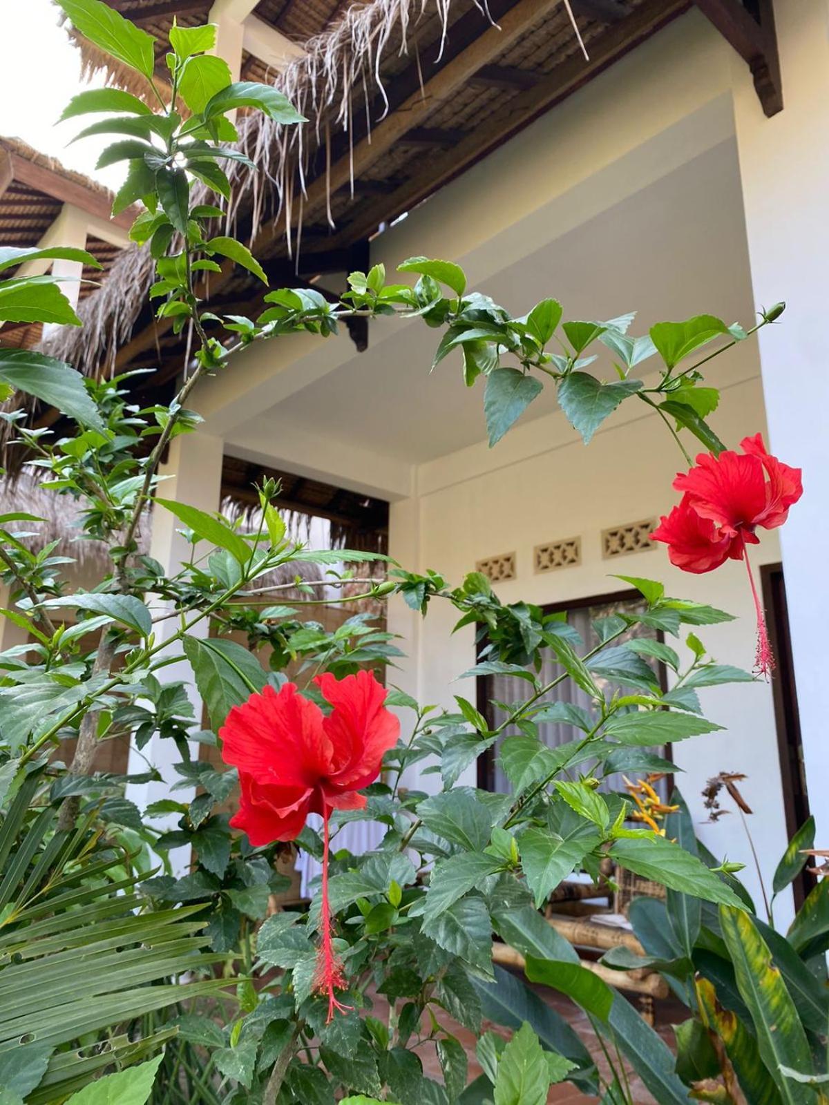 Cewin'S Homestay Kuta  Phòng bức ảnh