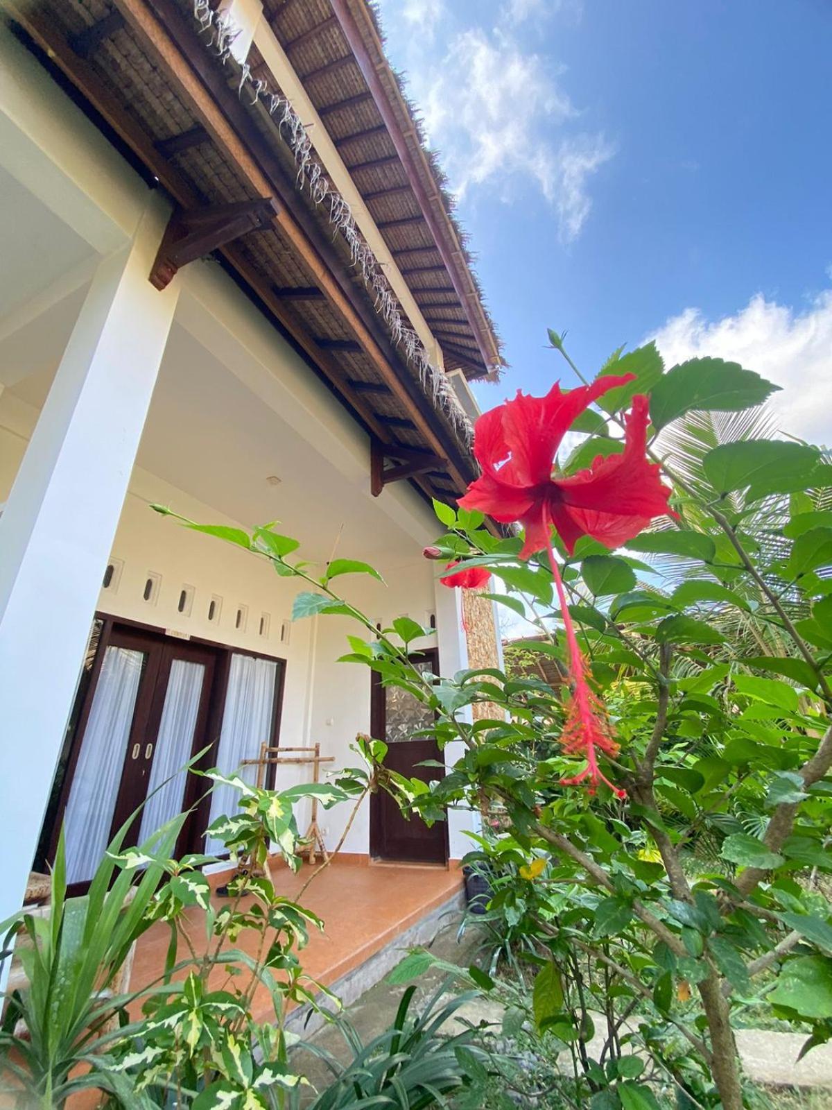 Cewin'S Homestay Kuta  Phòng bức ảnh